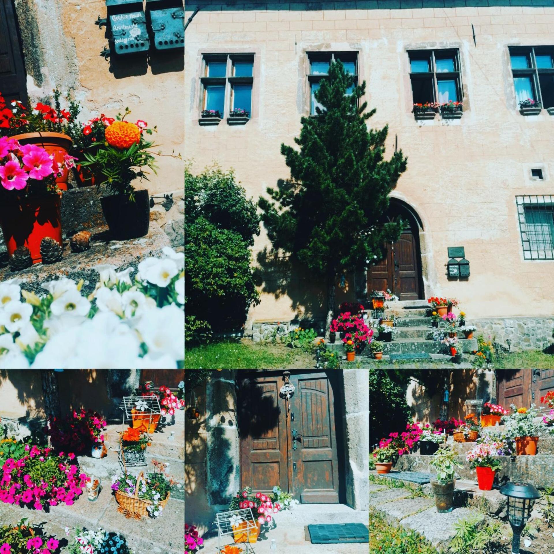 Gothic House Apartments เครมนิตซา ภายนอก รูปภาพ